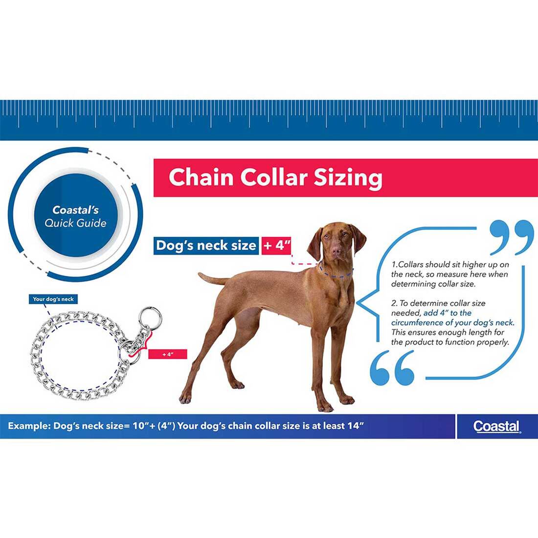 Herm. Sprenger® Ultra-Plus Prong Dog Training Collar with Latch, Chrome, 3.0 mm x 18"