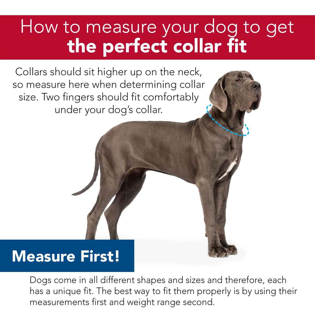 Coastal Pet Products Ribbon Adjustable Dog Collar with Metal Buckle, Houndstooth, 5/8" x 12"-18"