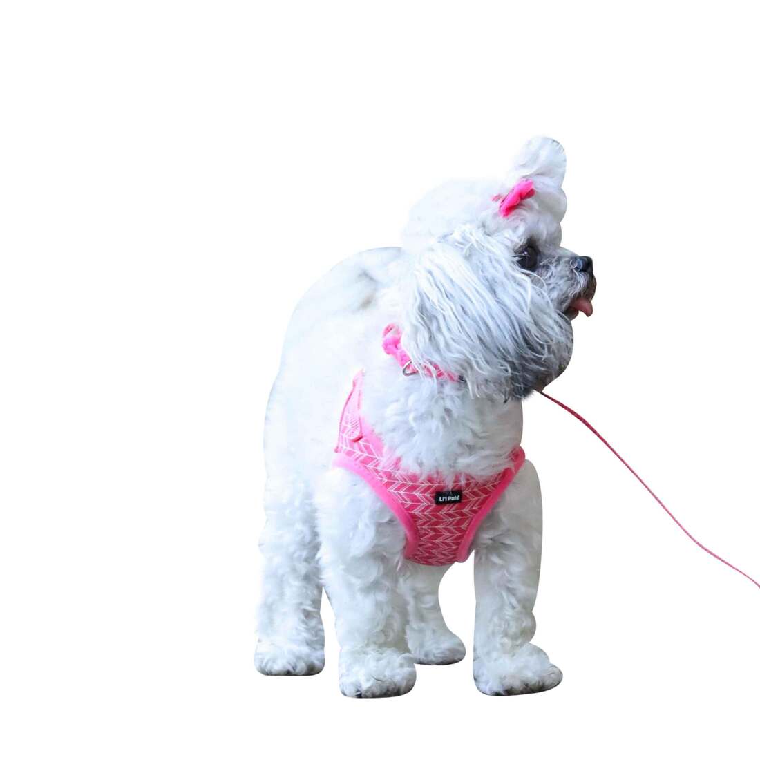 Coastal Pet Products Li'l Pals® Canvas Dog Harness, Pink Tribal Chevron, 3/8" x 10"-12"