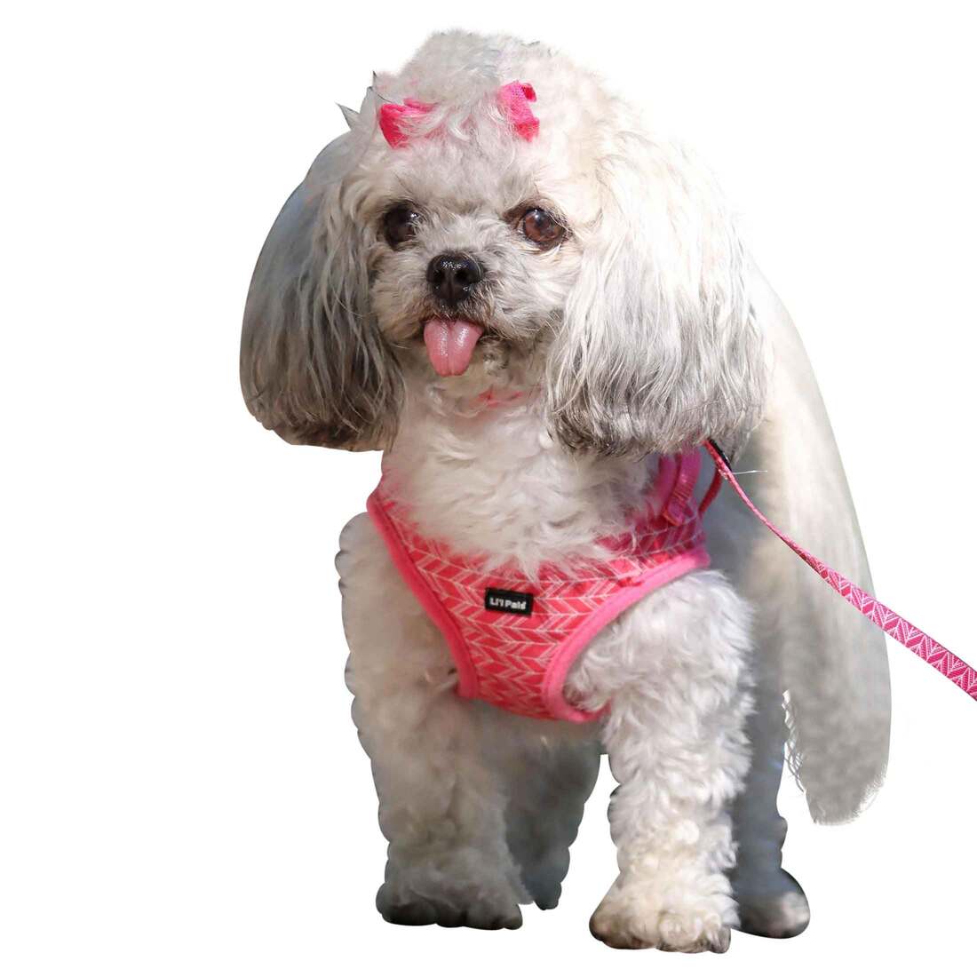 Coastal Pet Products Li'l Pals® Canvas Dog Harness, Pink Tribal Chevron, 3/8" x 10"-12"