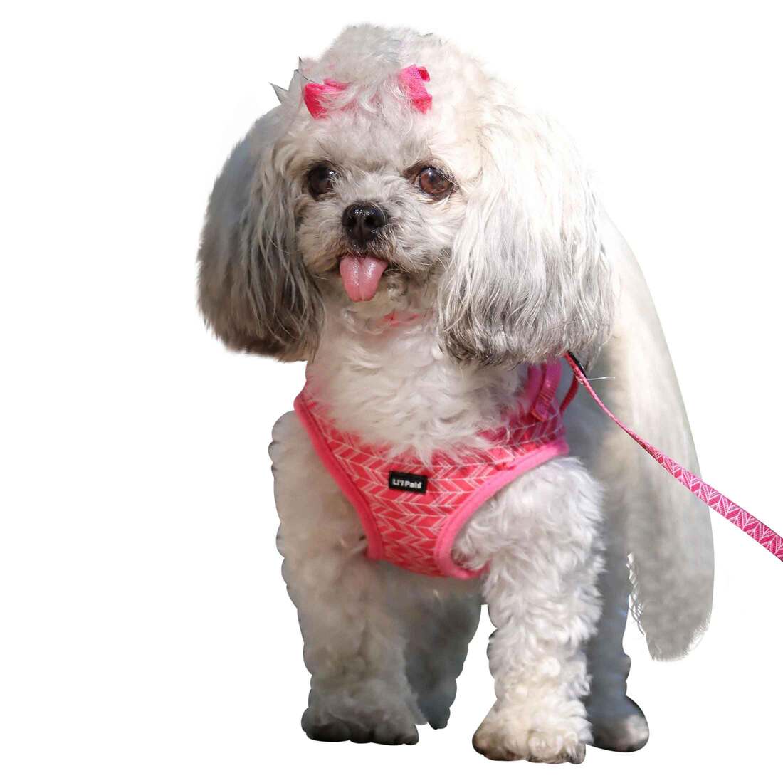 Coastal Pet Products Li'l Pals® Canvas Dog Harness, Pink Tribal Chevron, 3/8" x 8"-10"