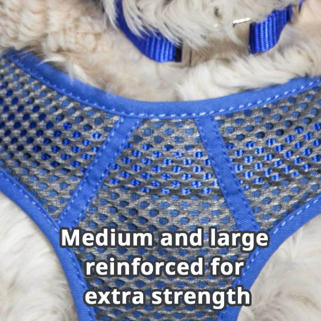 Comfort Soft® Sport Wrap Adjustable Dog Harness, Grey with Blue, 5/8" x 19"-23"