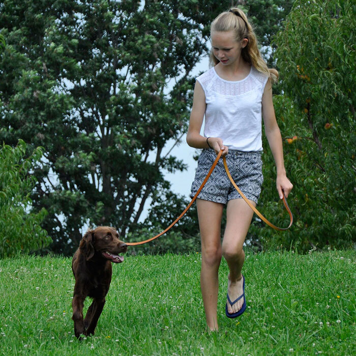 Circle T® Oak Tanned Leather Dog Leash, Black, 5/8" x 06'