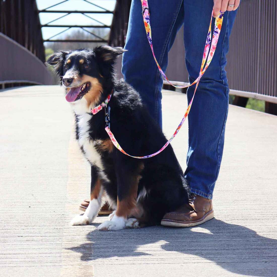 Inspire Adjustable Fashion Dog Collar, Sherbet Blooms, Extra Small