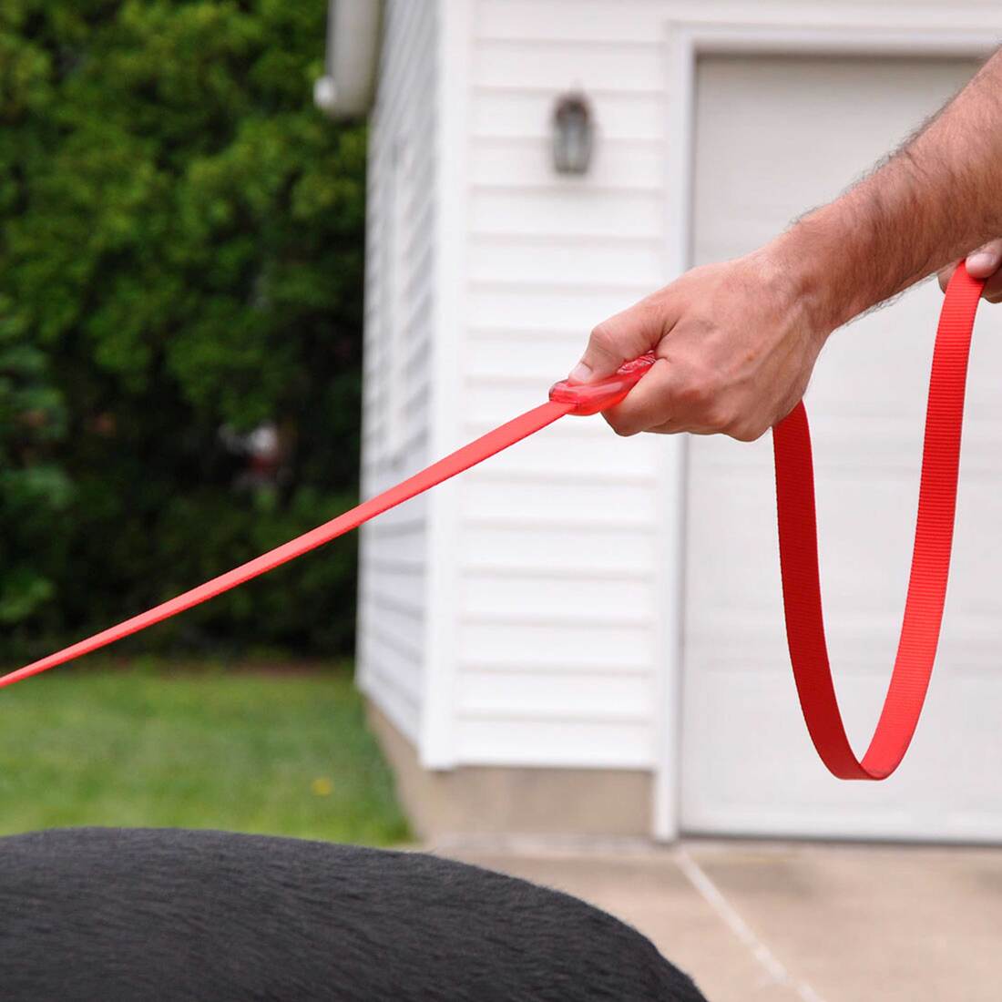 Insta-Grip® Control Handle Dog Leash, Black, 1" x 06'