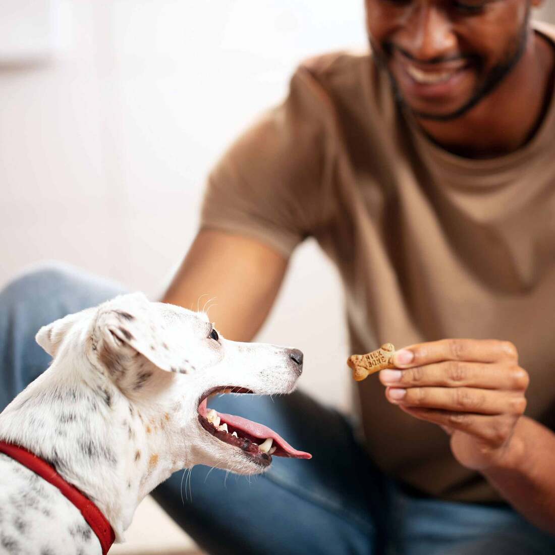 Milk-Bone Flavor Snacks Mini Dog Biscuits, Flavored Crunchy Dog Treats, 15 Ounces