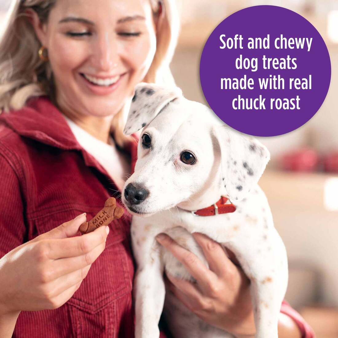 Milk-Bone Soft and Chewy Dog Treats, Beef & Filet Mignon Recipe With Chuck Roast, 25 Ounce Container