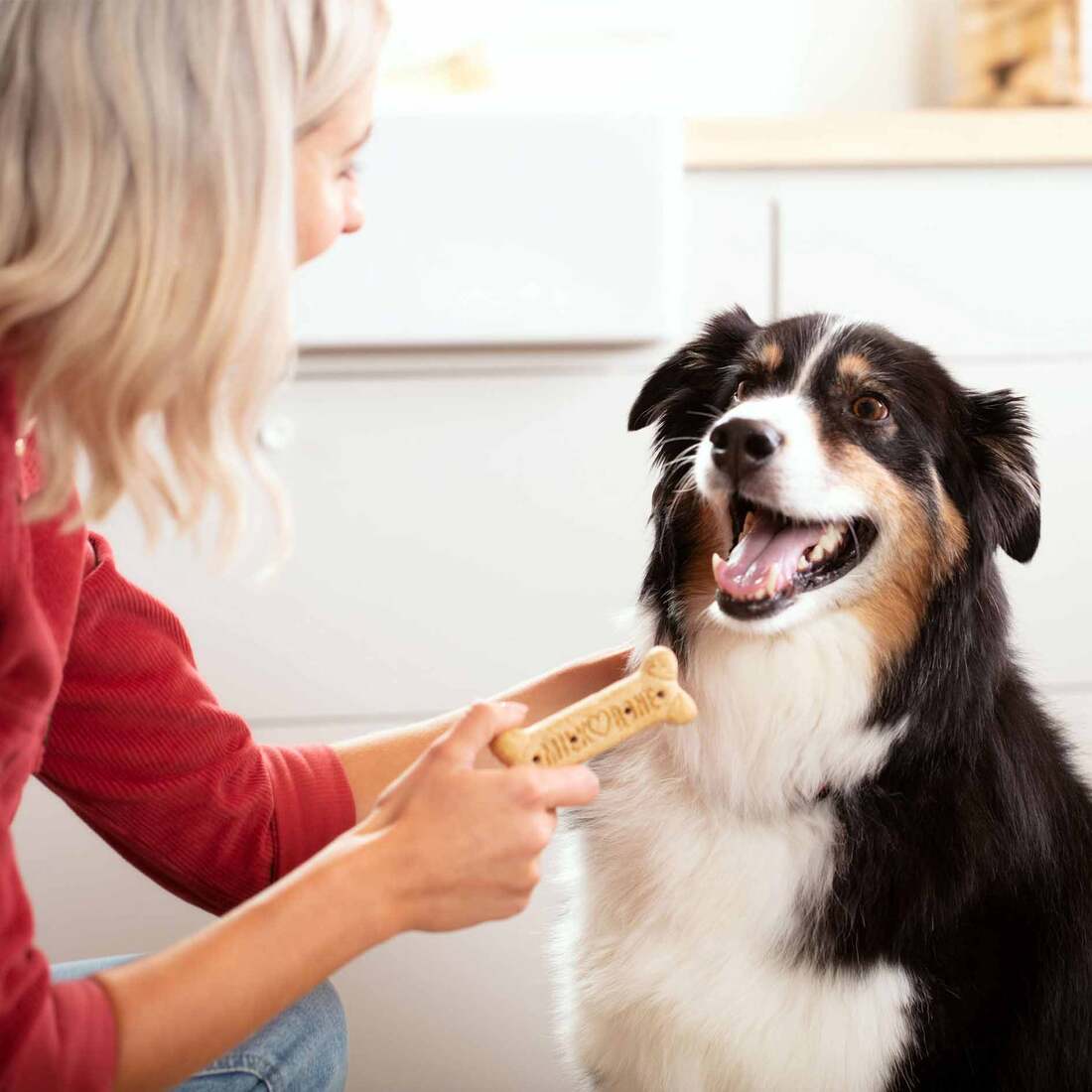 Milk-Bone Original Dog Biscuits, Large Crunchy Dog Treats, 24 Ounces