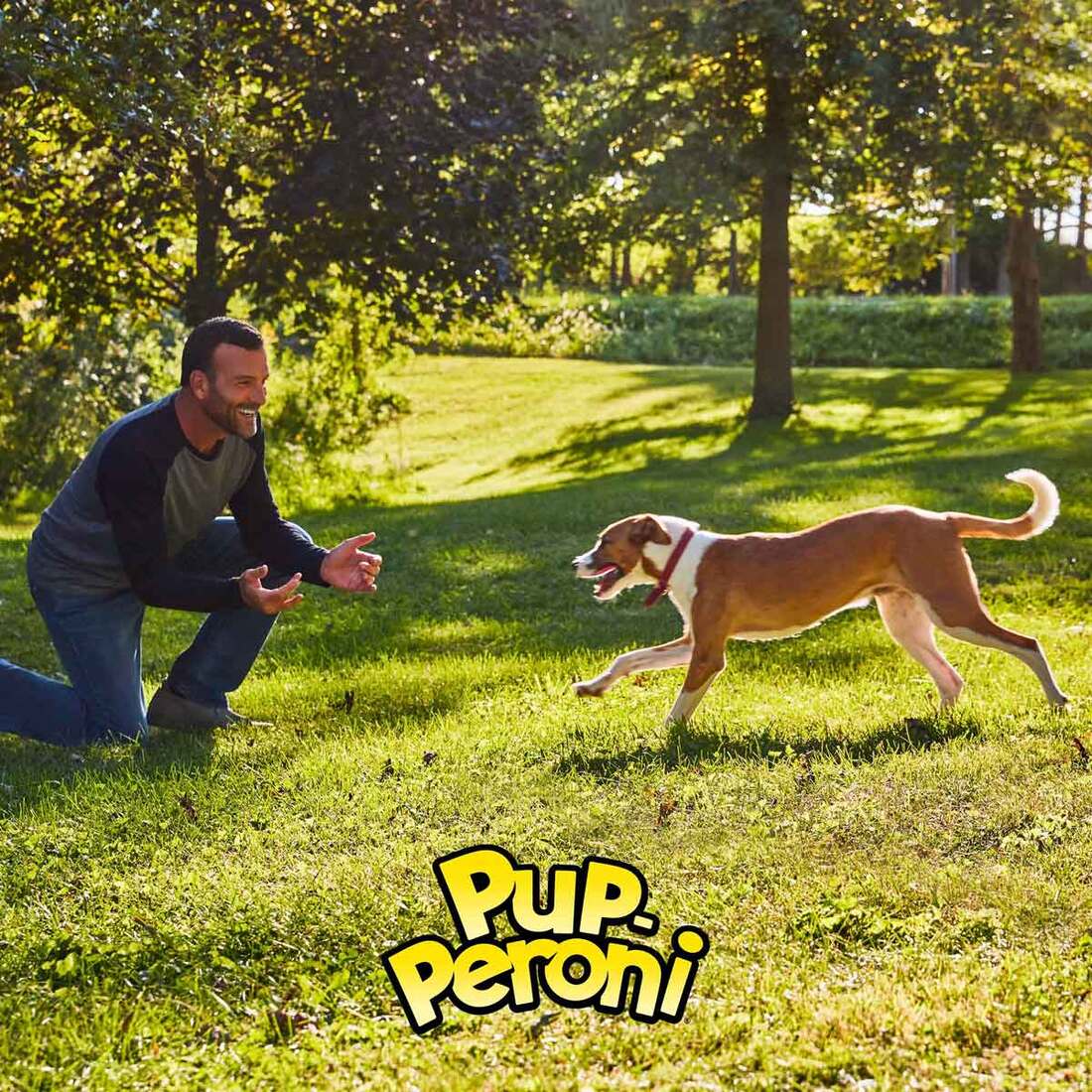 Dog Treats Soft Treats Pup-Peroni Dog Treats, Original Bacon Flavor
