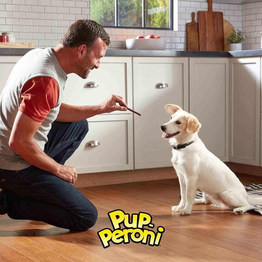 Dog Treats Soft Treats Pupperoni Lean Beef Dog Treats