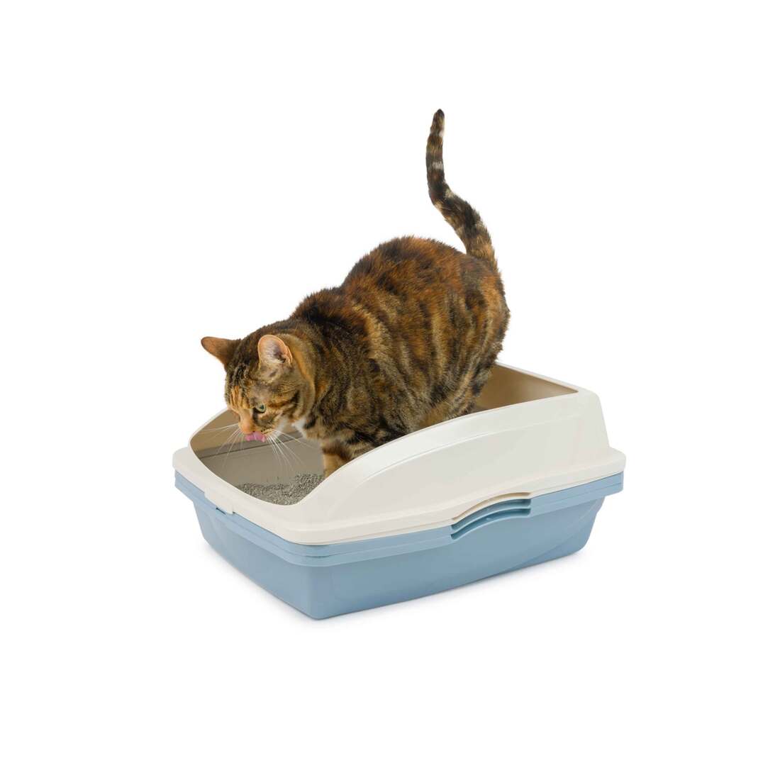 Cat Litter & Waste Management Pans & Scoops Van Ness Sifting Cat Pan ...
