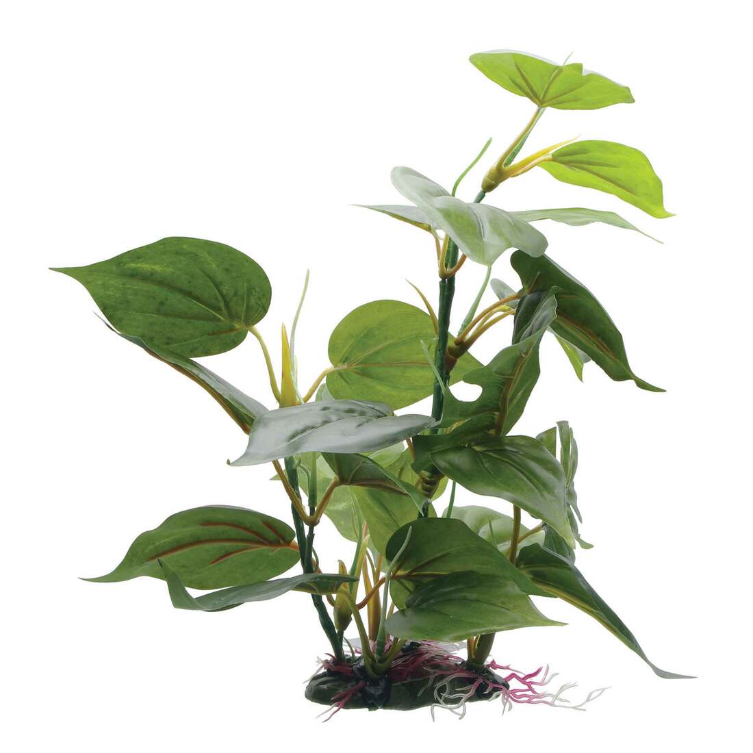 Fluval Decorative Plants, Anubias, 12 Inch with Base