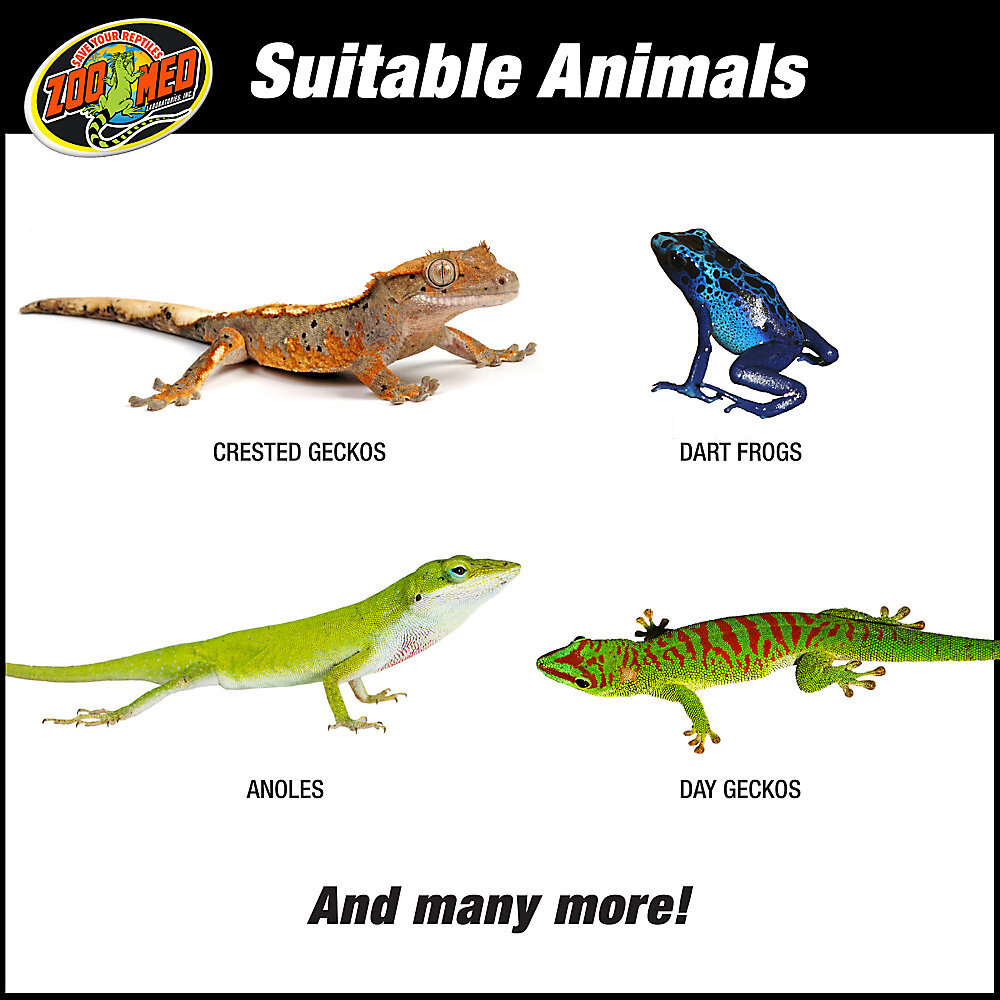 Zoo Med Tropical Terrarium Kit, 12X12X18 | Pet Supplies Plus