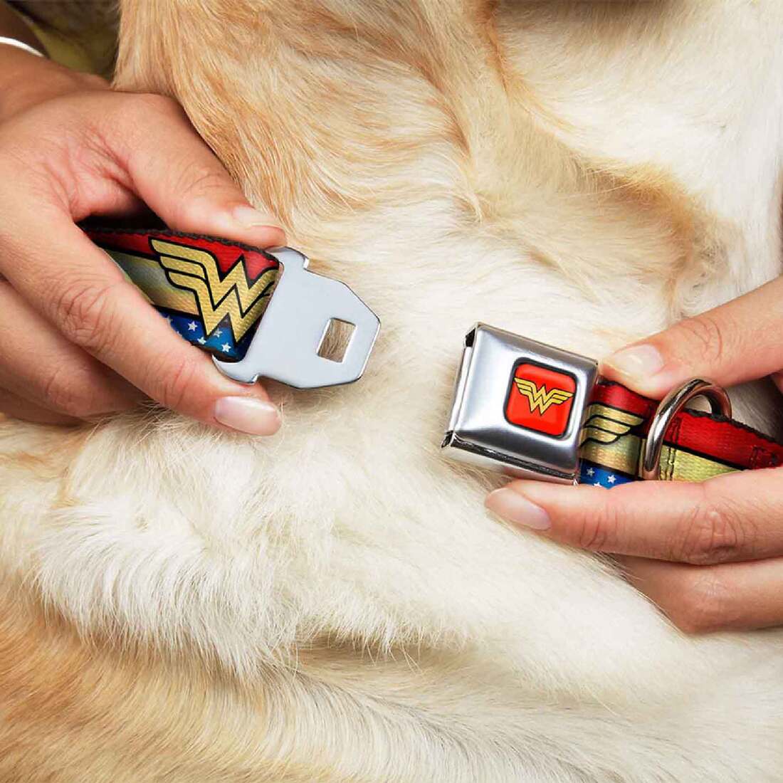 Buckle-Down Seatbelt Buckle Dog Collar - Wonder Woman Logo Stripe/Stars Red/Gold/Blue/White - 1.5" W