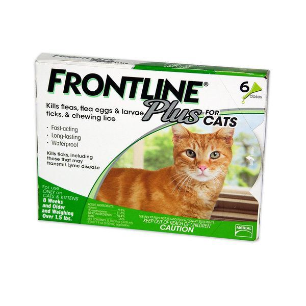 Frontline Plus Flea & Tick Control for Cats, All Weights, 6 Pack