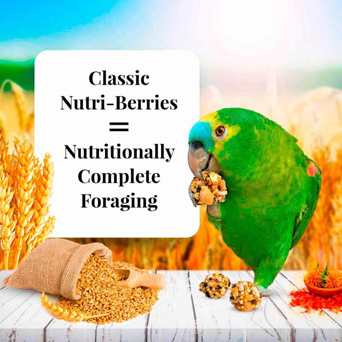 Lafeber Classic Nutri-Berries for Parrot, 3.25 Pounds