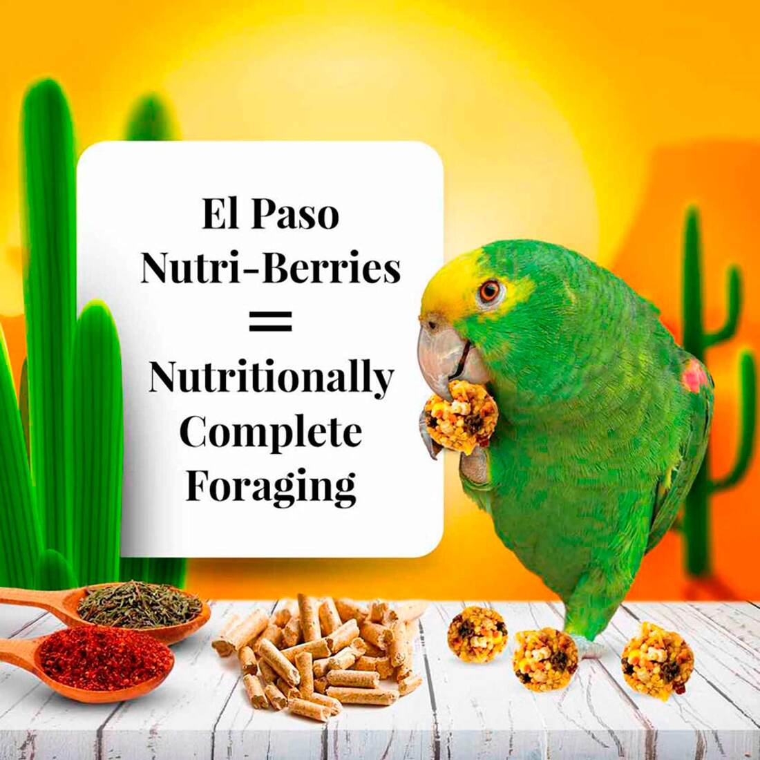 Lafeber El Paso Nutri-Berries for Parrots, 10 Ounces