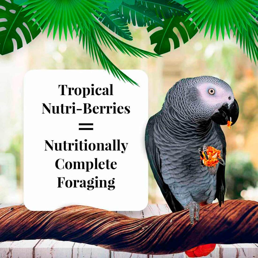 Lafeber Tropical Fruit Nutri-Berries for Parrots, 3 Pounds
