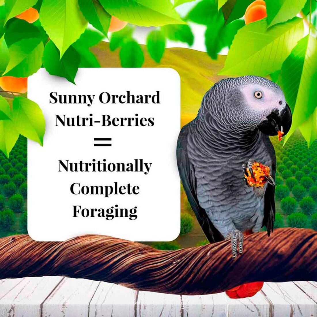 Lafeber Sunny Orchard Nutri-Berries for Parrots, 3 Pounds