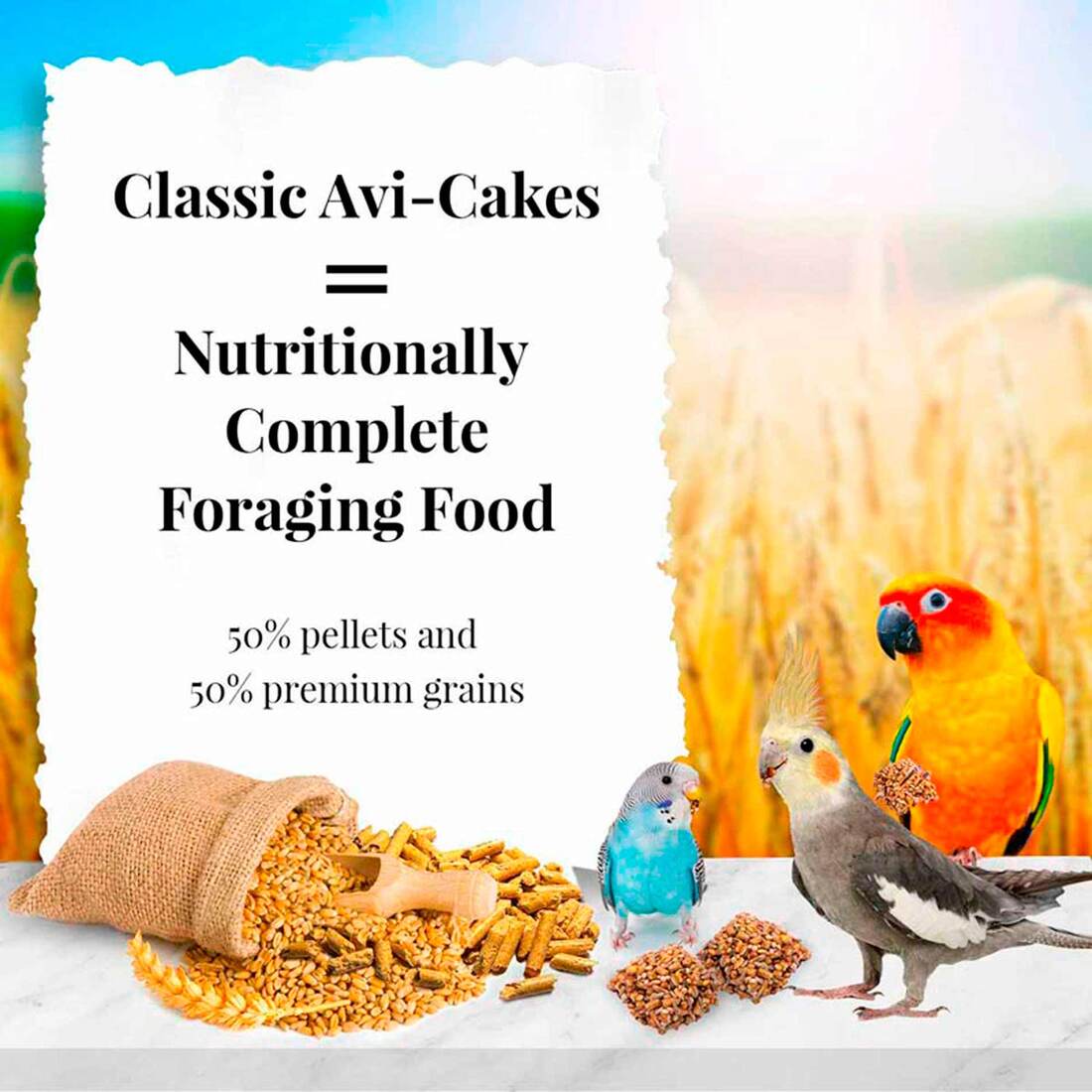 Lafeber Classic Avi-Cakes for Parakeets, Cockatiels & Conures, 8 Ounces
