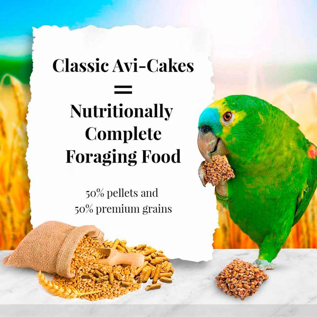 Lafeber Parrot Avi-Cakes for Parrots, 12 Ounces