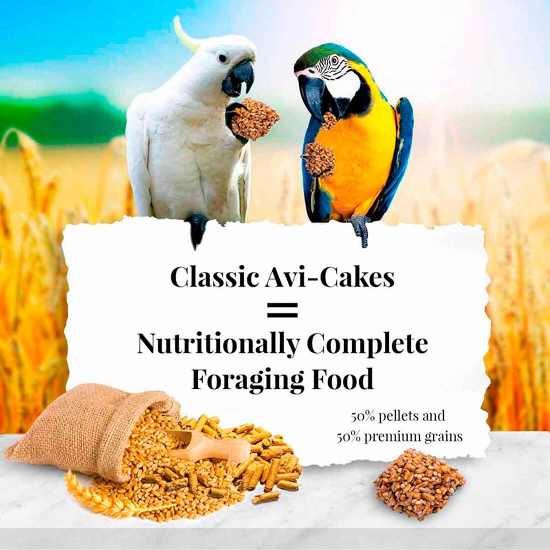 Lafeber Macaw/Cockatoo Avi-Cakes, 1 Pound