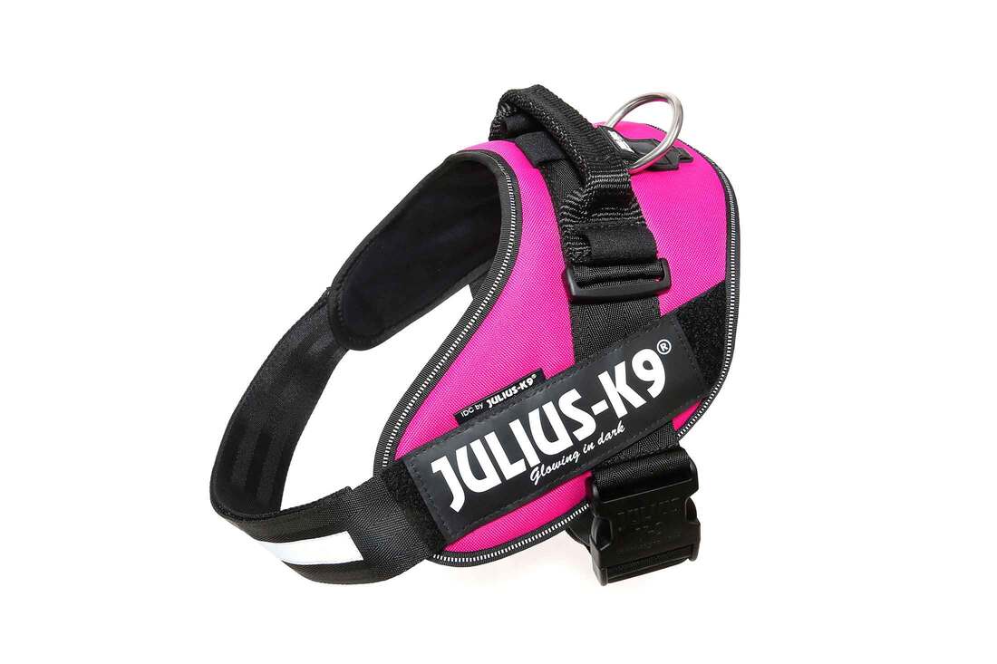 IDC Powerharness for Dogs, Size: 2, Dark Pink