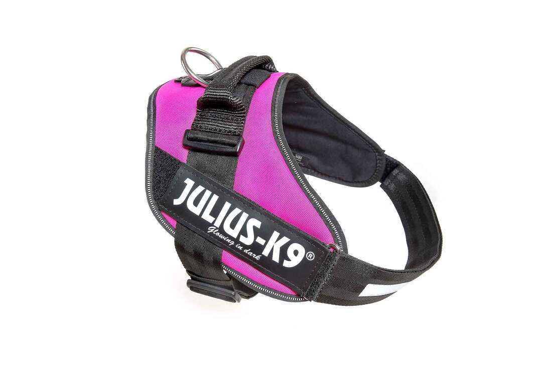 IDC Powerharness for Dogs, Size: 2, Dark Pink