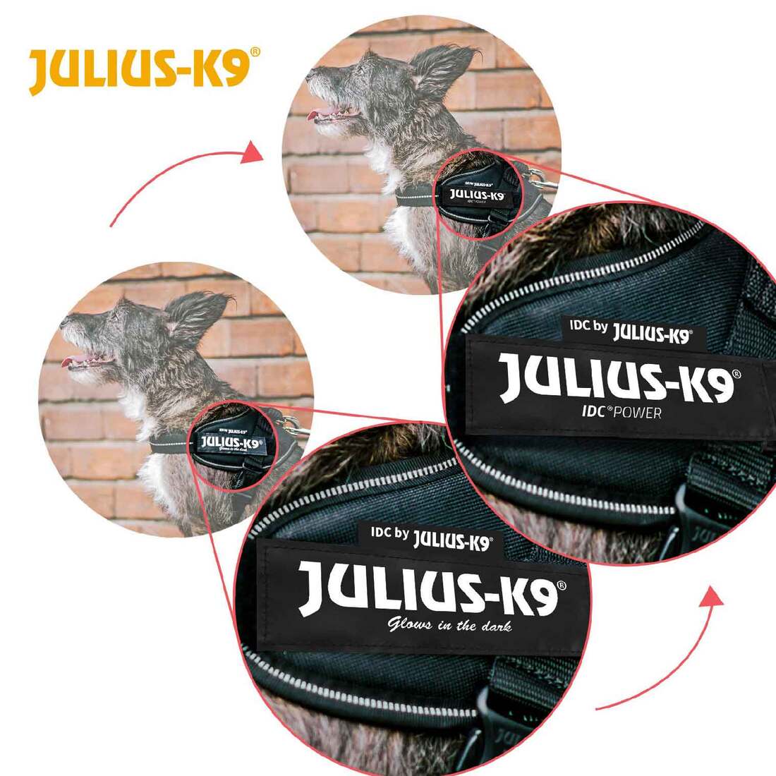 IDC Powerharness for Dogs, Size: 2, Dark Pink