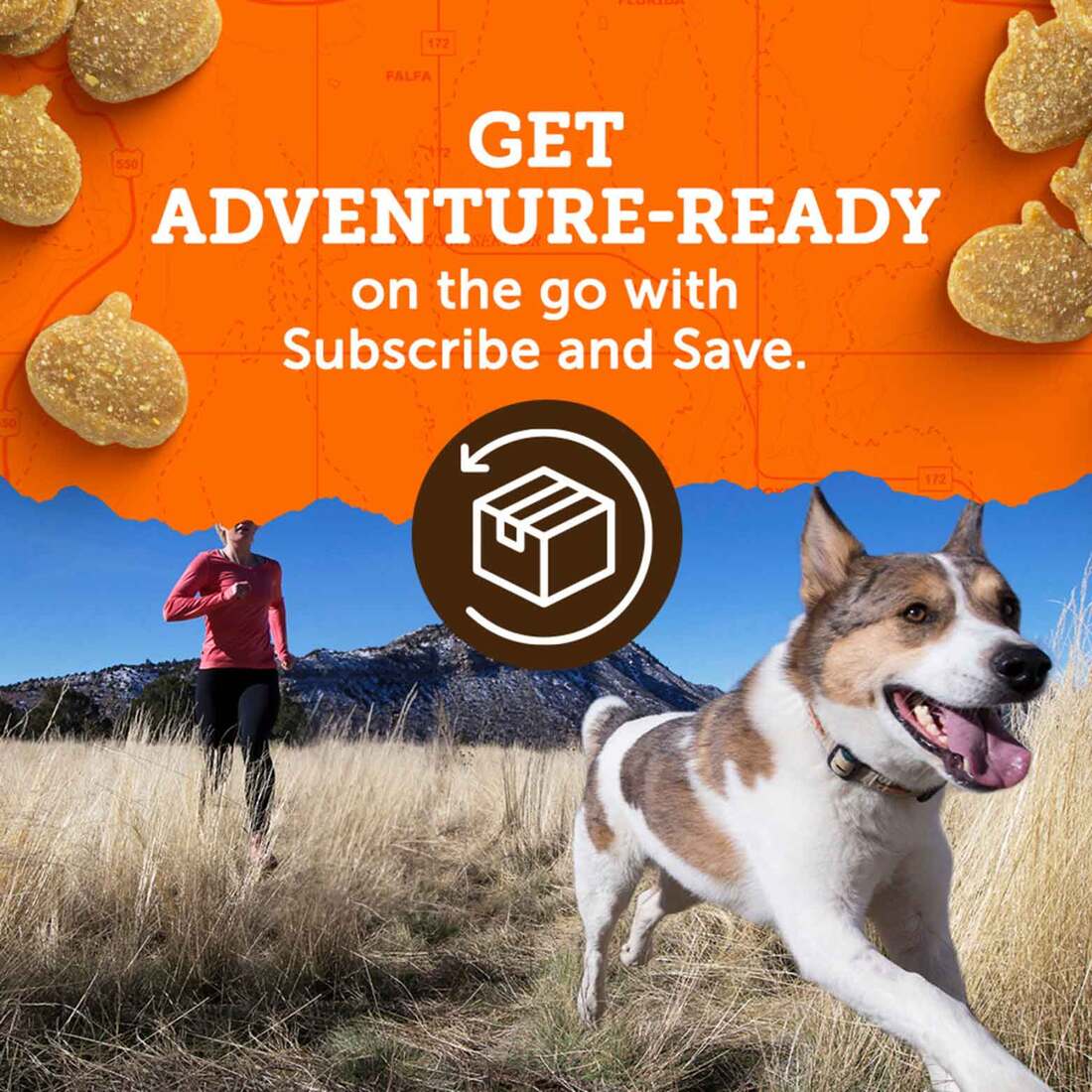 Dog Treats Soft Treats Zuke's Mini Naturals Training Dog Treats Peanut ...