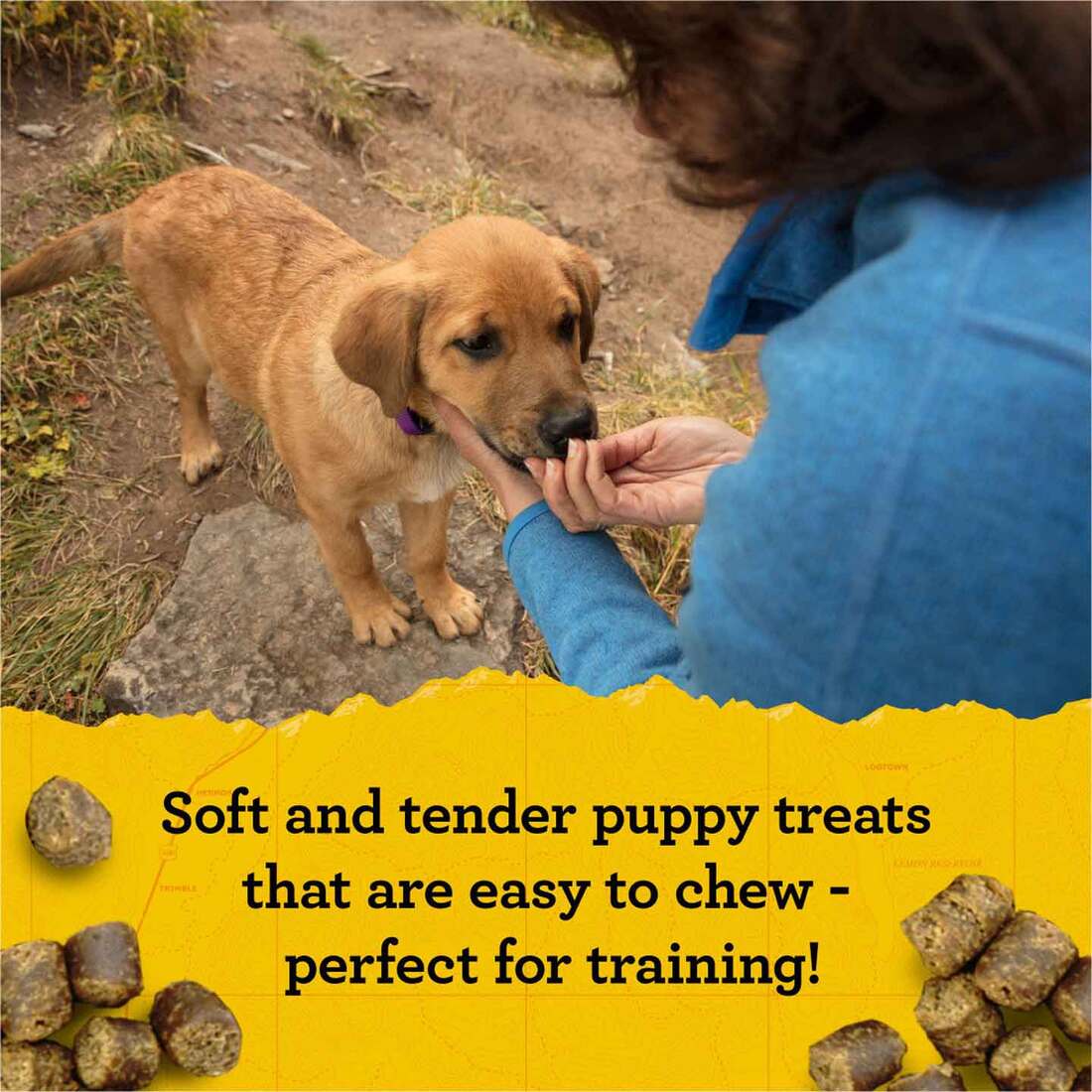 Zuke’s Puppy Naturals Puppy Training Treats for Dogs of All Sizes, Pet Treats made with Real Salmon,