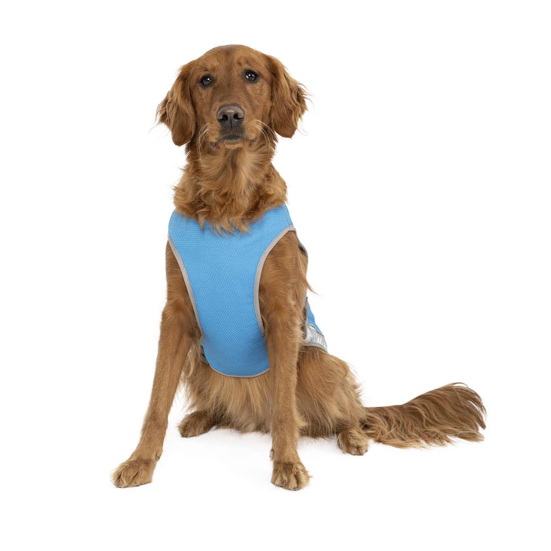 Canada Pooch Vest Cooling Chill Seeker, Blue, Size 16