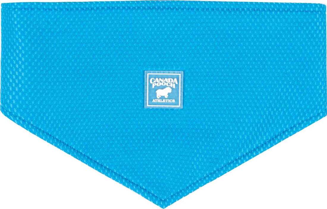 Canada Pooch Cooling Bandana, Blue, Small