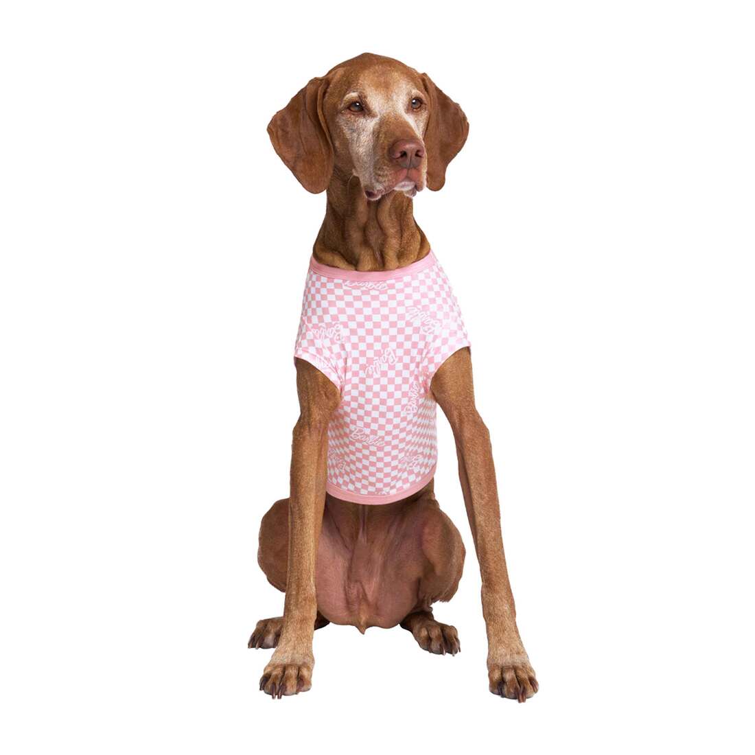 Canada Pooch Follow Me Tee Barbie, Checker, Size 16