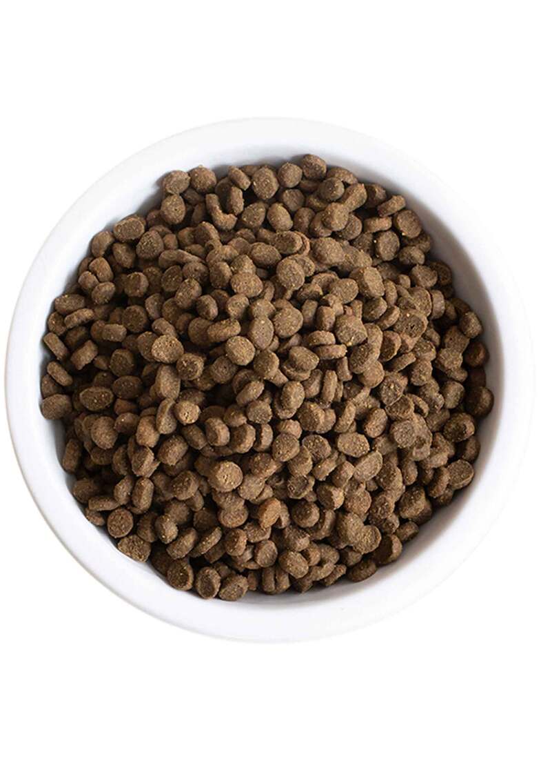 Open Farm Wild Caught Salmon Dry Cat Food, 8 Pounds