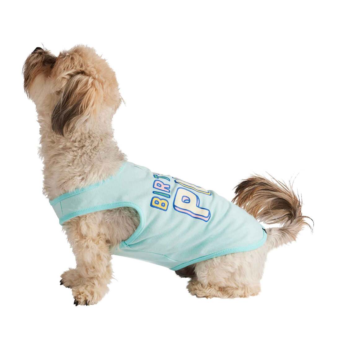 Hotel Doggy Birthday Pup Tank Dog T Shirt, Blue, Large