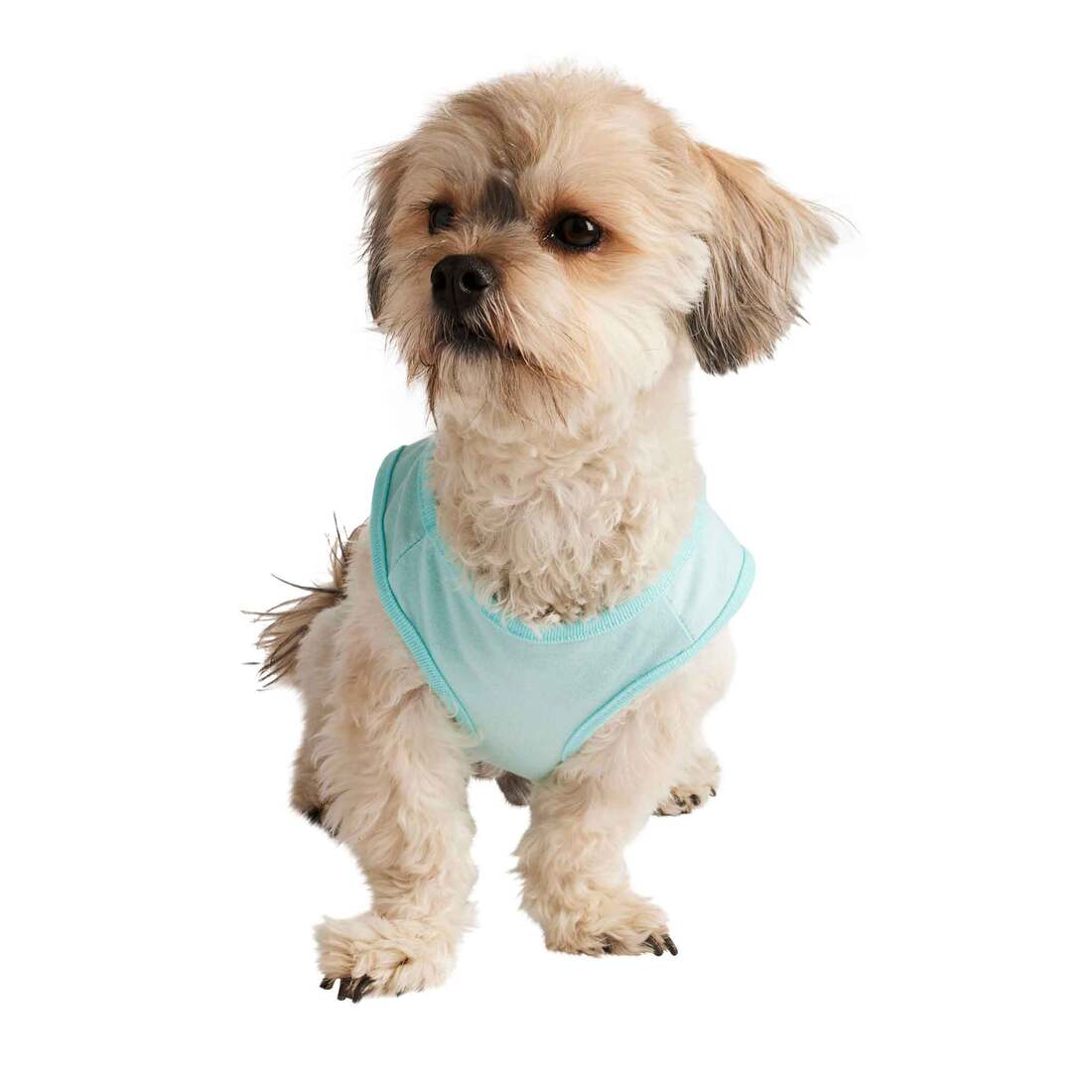 Hotel Doggy Birthday Pup Tank Dog T Shirt, Blue, Large
