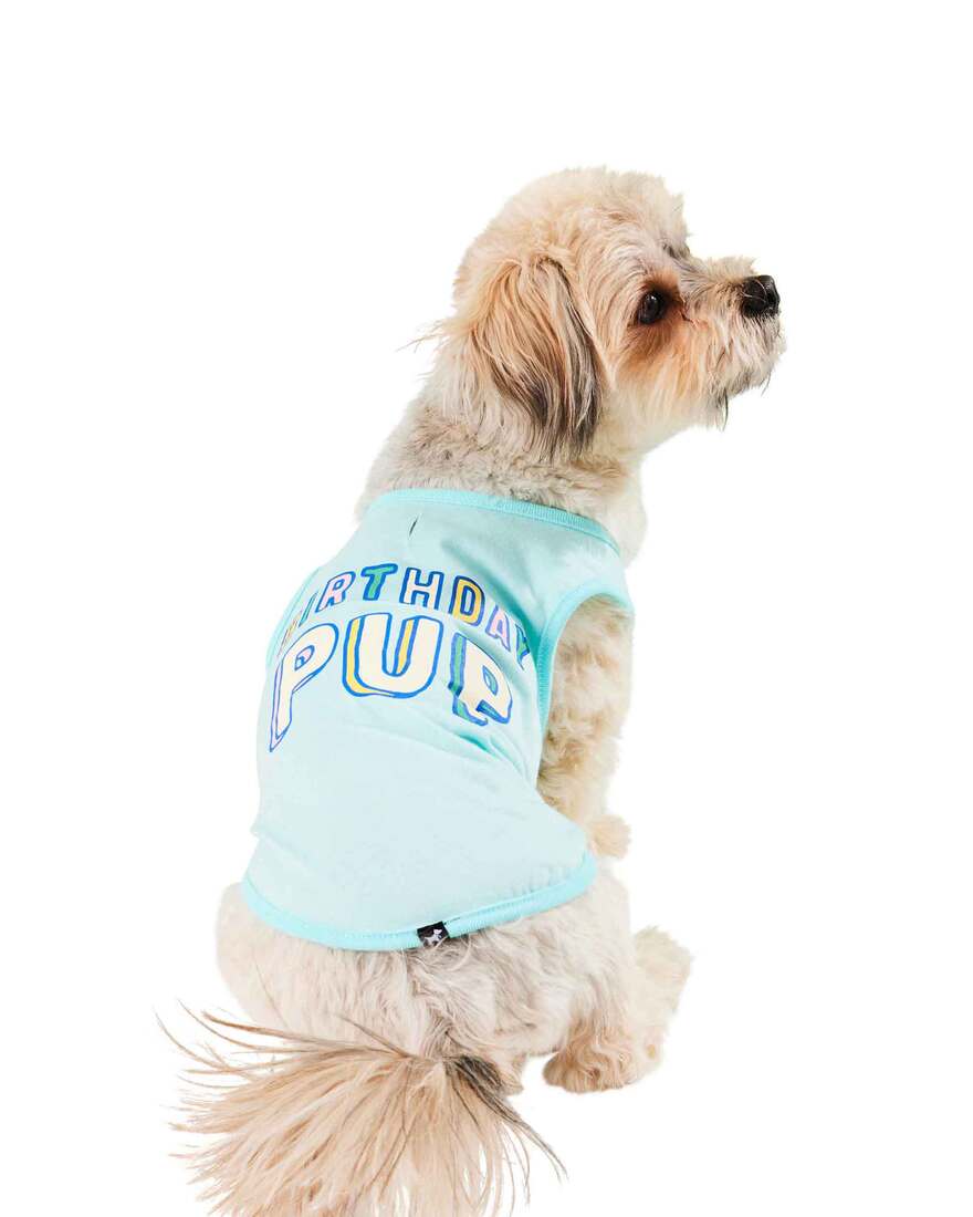 Hotel Doggy Birthday Pup Tank Dog T Shirt, Blue, Large