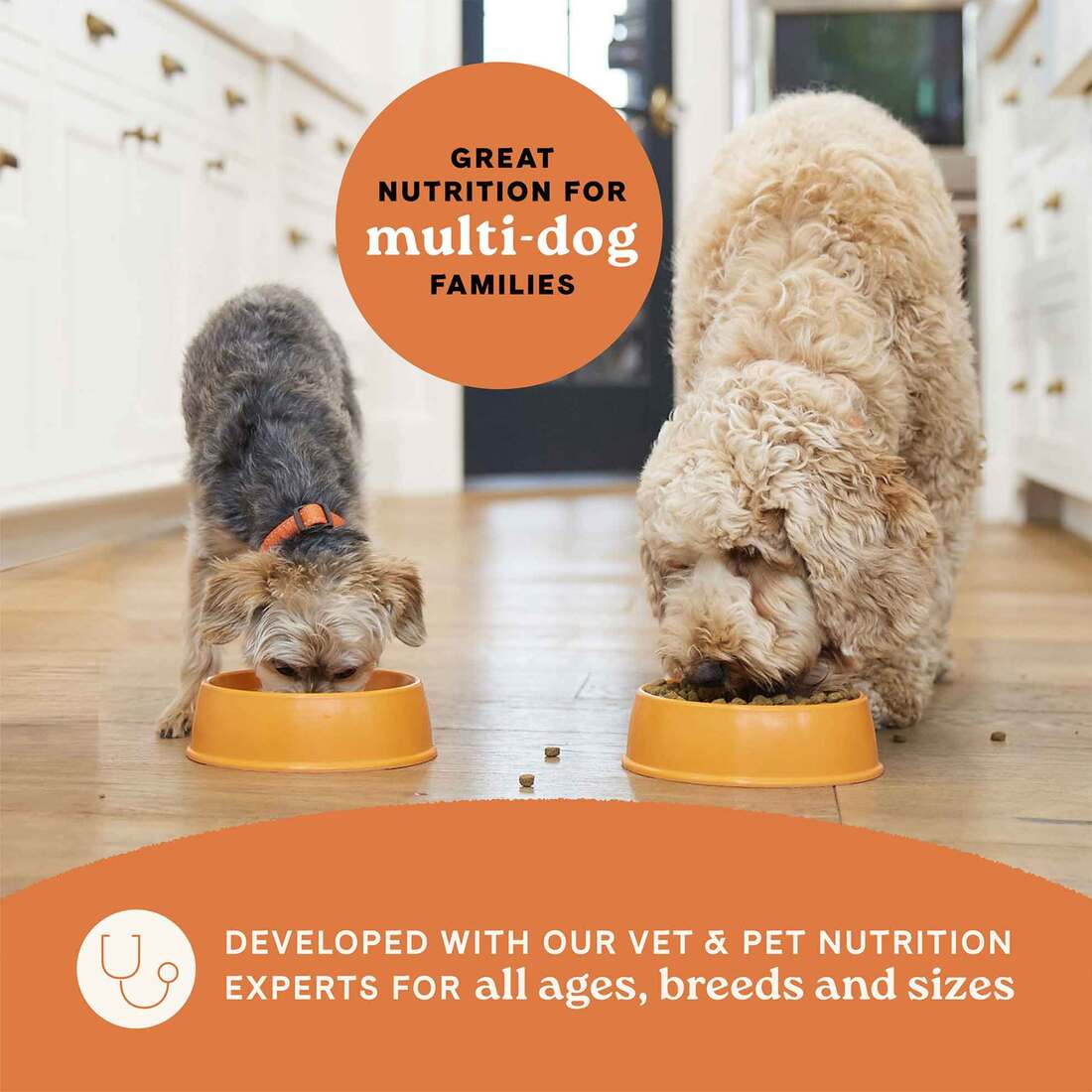 Canidae All Life Stages Dry Dog Food, Multi-Protein Recipe, 27 Pounds