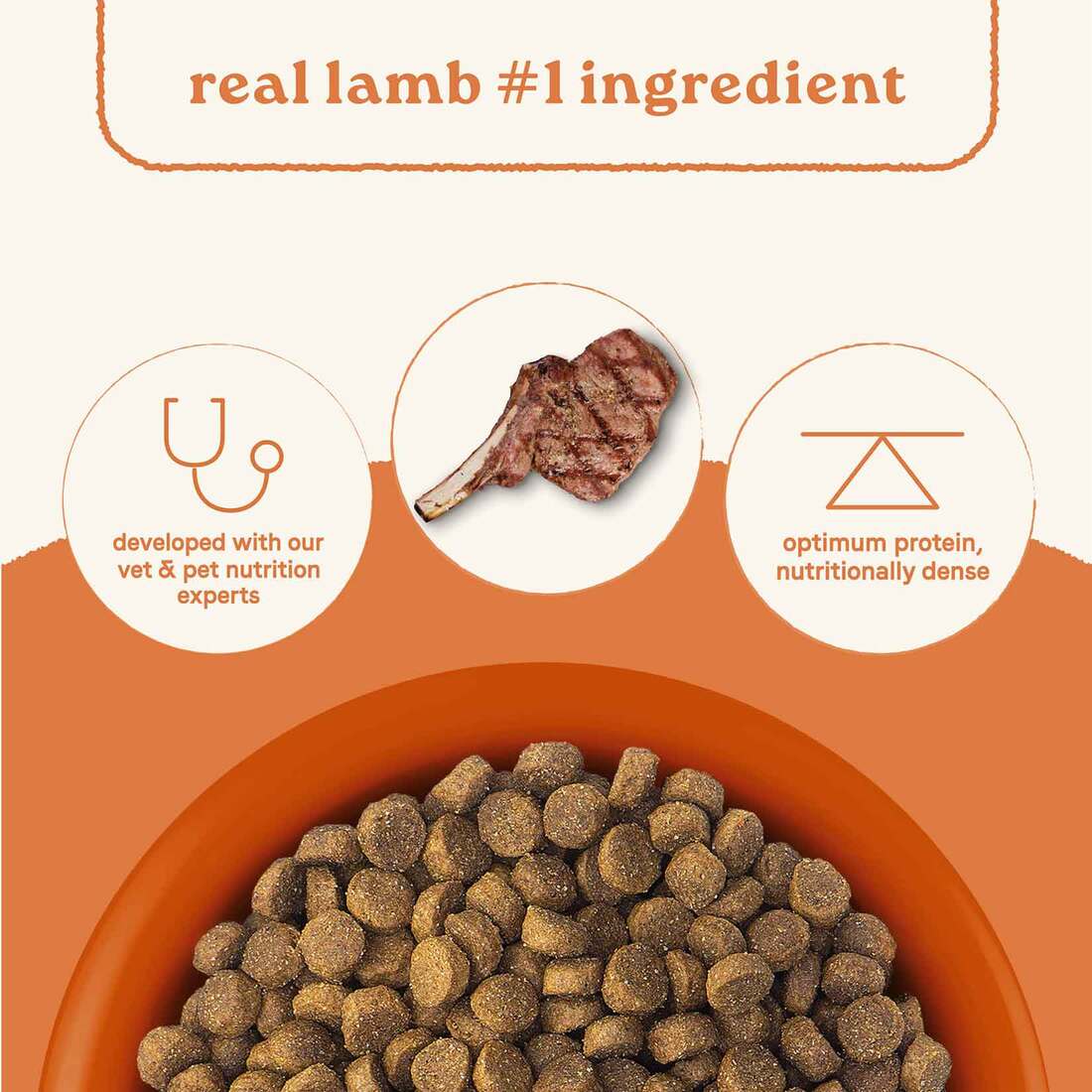 Canidae All Life Stages Dry Dog Food, Real Lamb & Ancient Grains Recipe, 5 Pounds