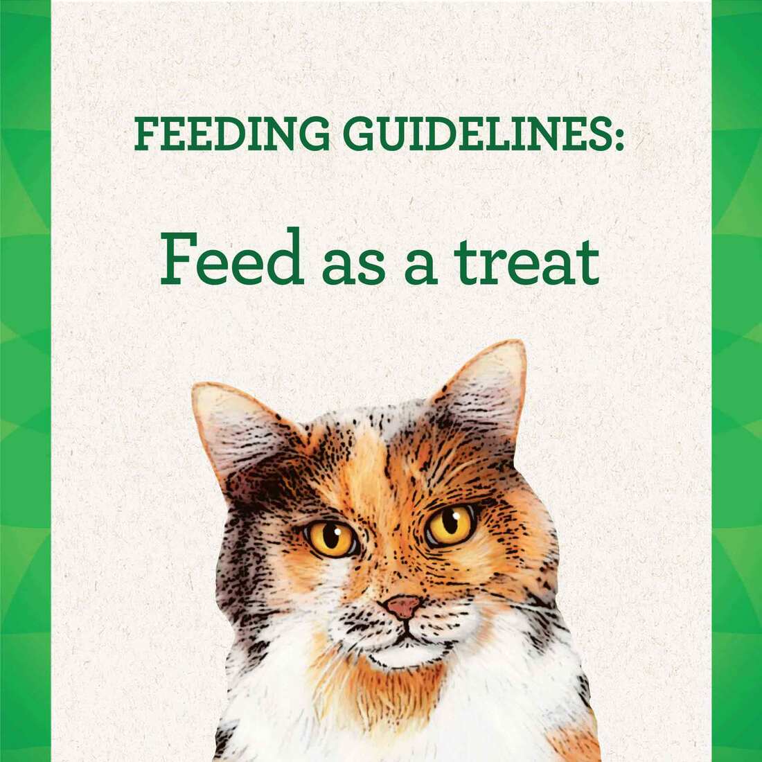 Feline Greenies Pill Pockets Treats for Cats Salmon Flavor - 1.6 Ounces, 45 Treats