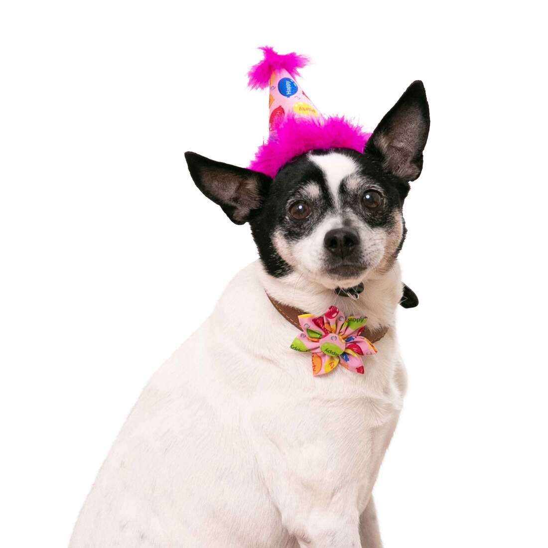 Huxley And Kent Party Hat Party Time, Pink, Small