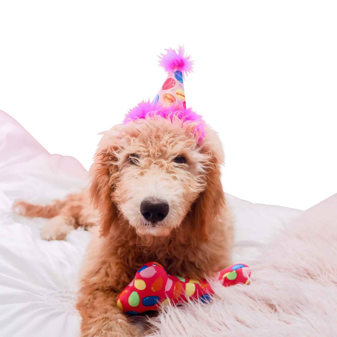 Huxley And Kent Party Hat Party Time, Pink, Small