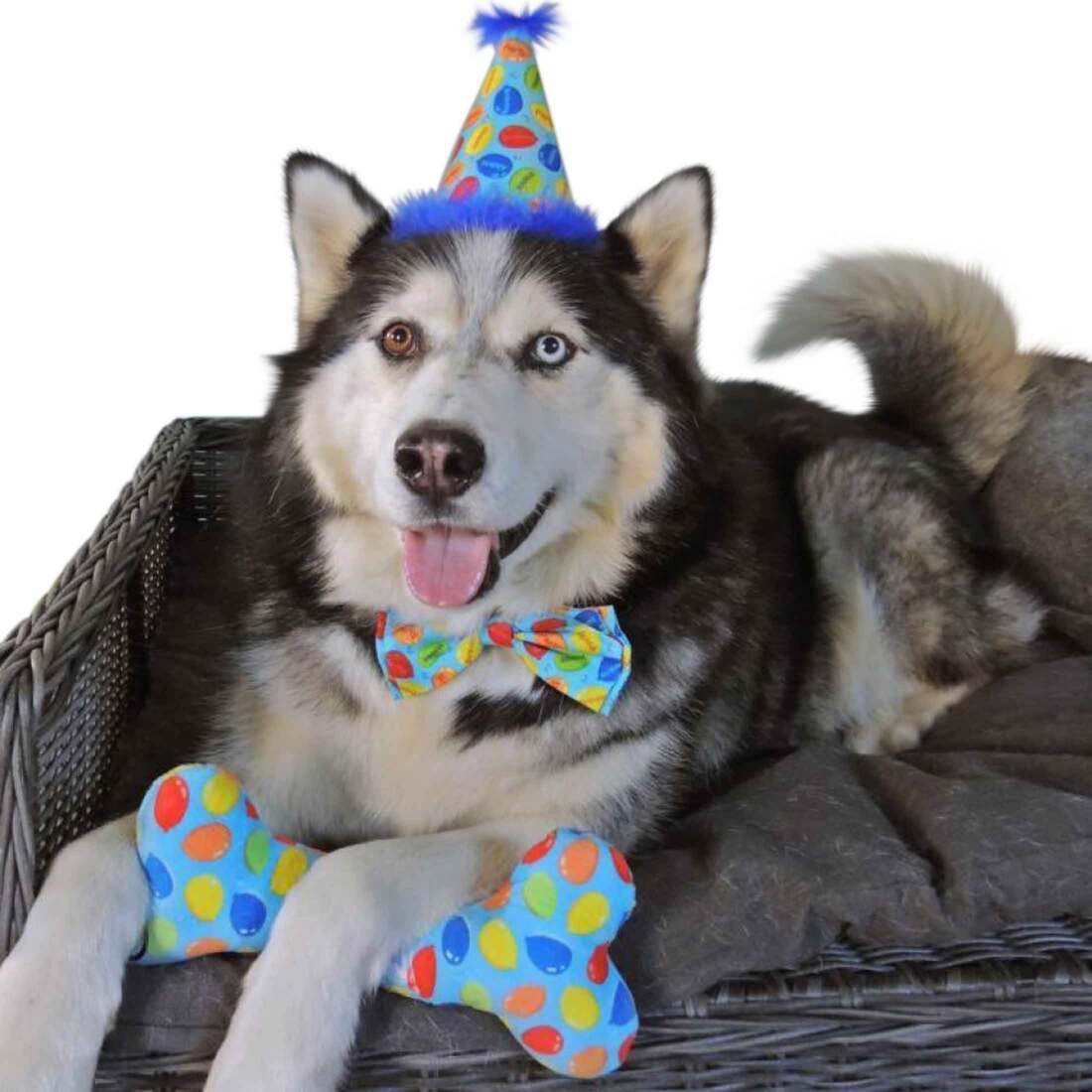 Huxley And Kent Party Hat Party Time, Blue, Large