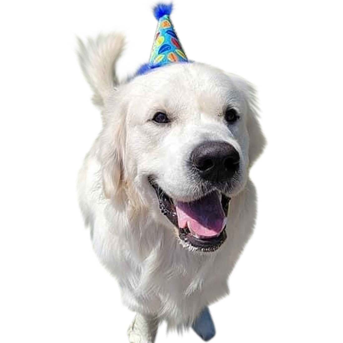 Huxley And Kent Party Hat Party Time, Blue, Large