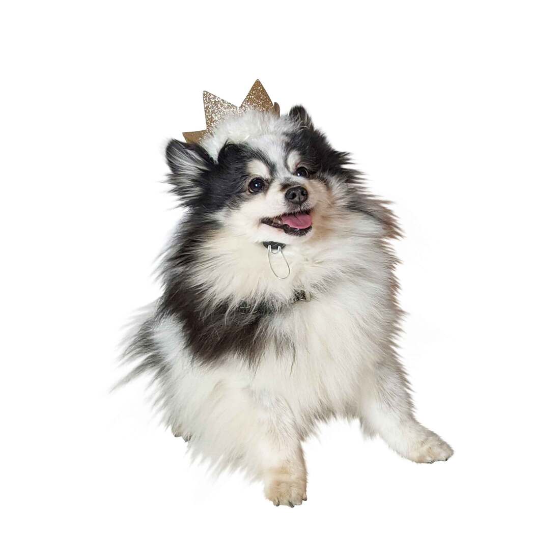 Huxley And Kent Party Crown, Gold, Small