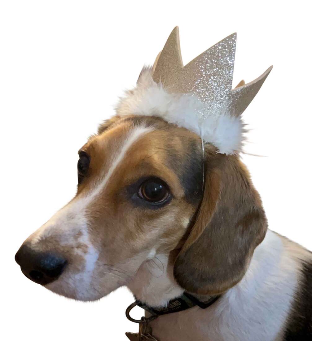 Huxley And Kent Party Crown, Gold, Small