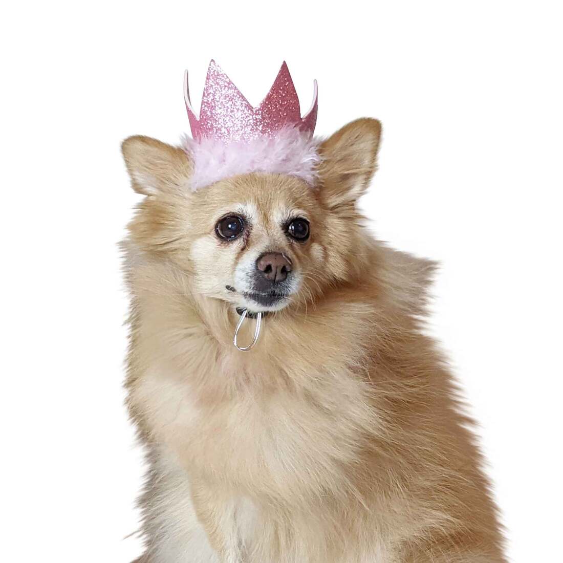 Huxley And Kent Party Crown, Pink, Small