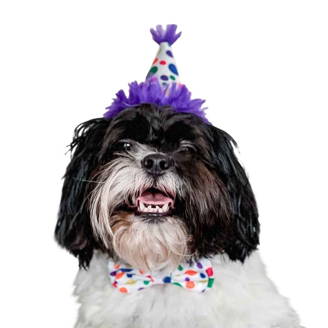 Huxley And Kent Party Hat Happy Barkday, Large