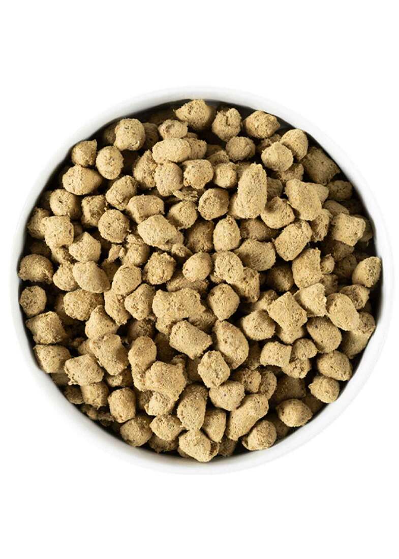 Open Farm Freeze Dried Morsels Pork Dog Food, 22 Ounces